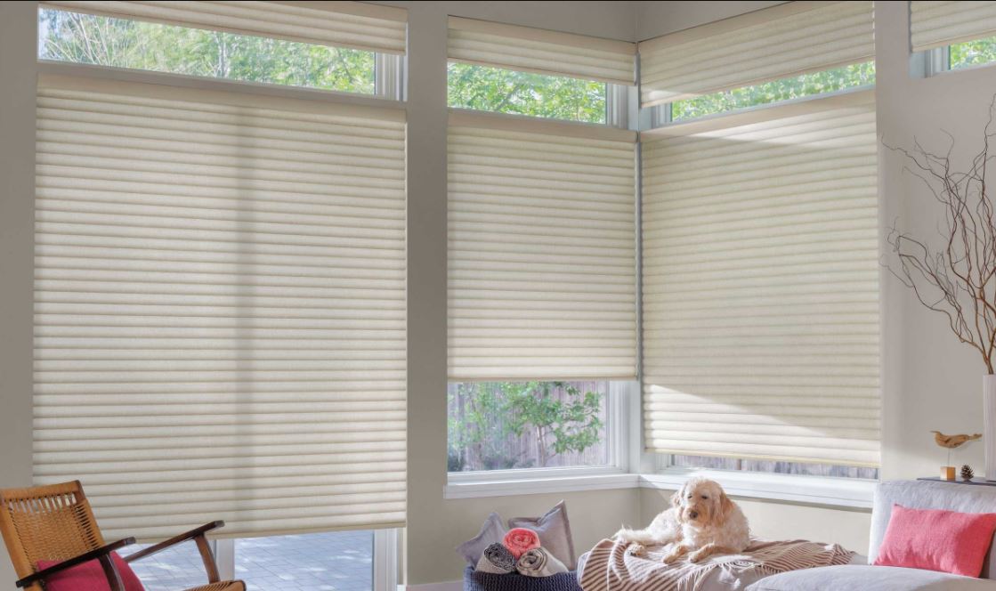 Which Types of Window Shades Should You Use to Make a Room Darker?