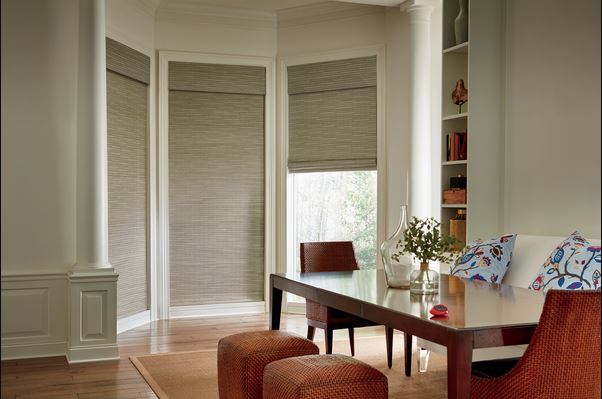 Can You Use a Vacuum Cleaner on Window Shades?