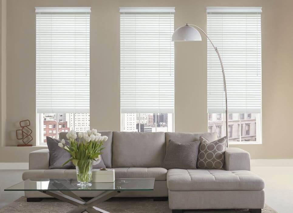 roller shades for windows